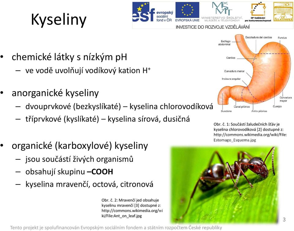 mravenčí, octová, citronová Obr. č. 1: Součástí žaludečních šťáv je kyselina chlorovodíková [2] dostupné z: http://commons.wikimedia.