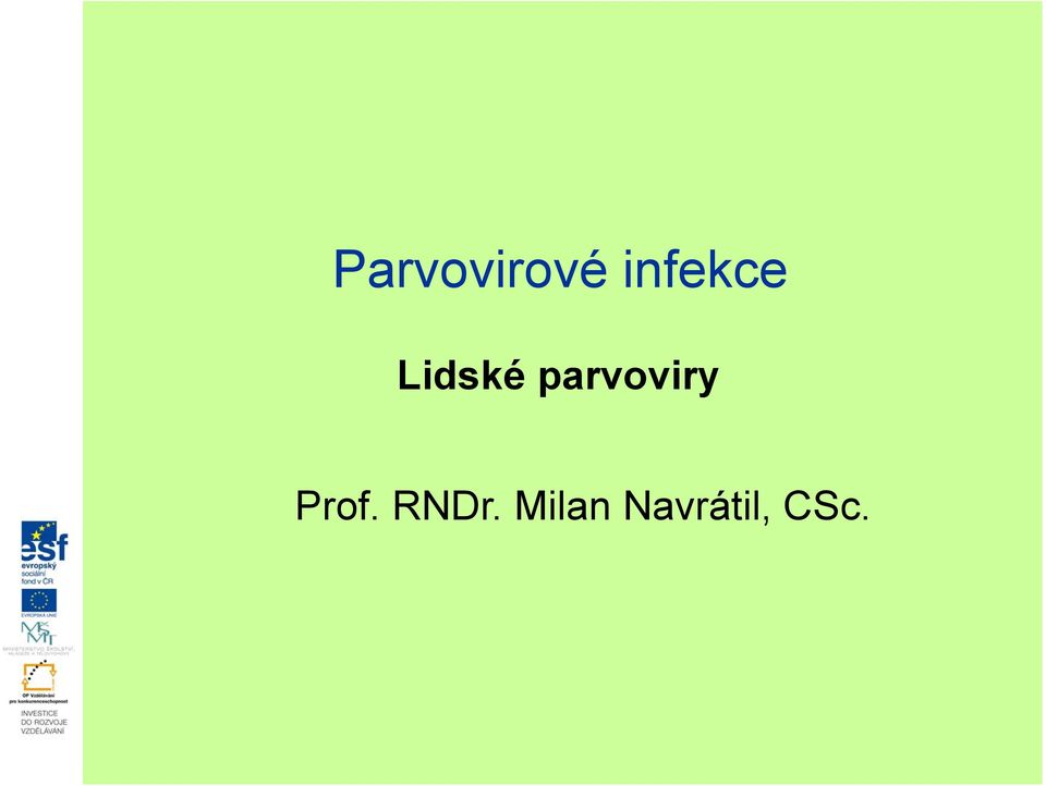 parvoviry Prof.