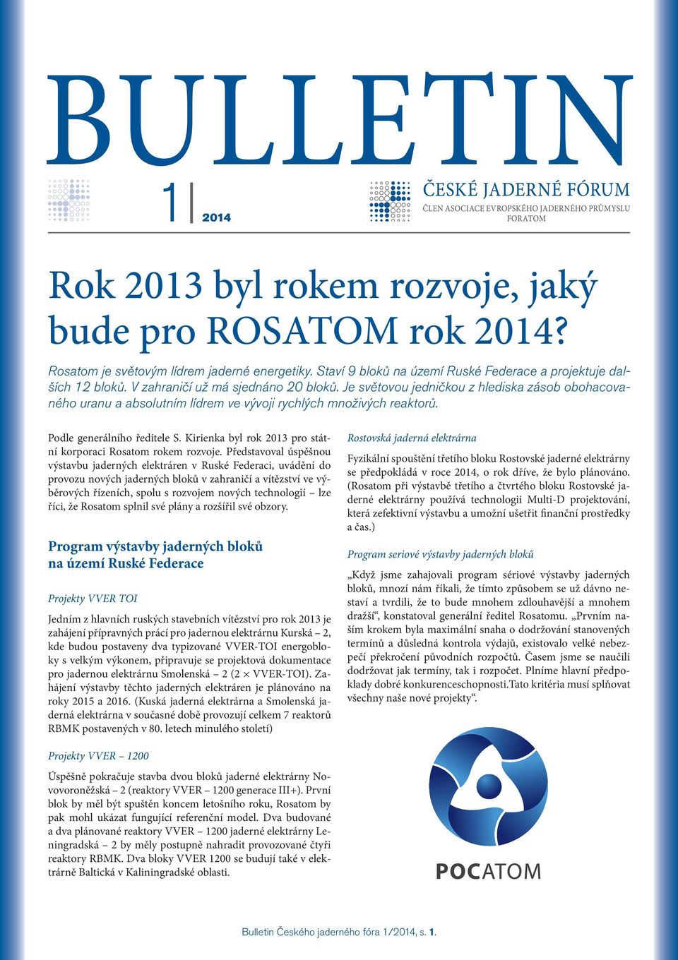 Kirienka byl rok 2013 pro státní korporaci Rosatom rokem rozvoje.
