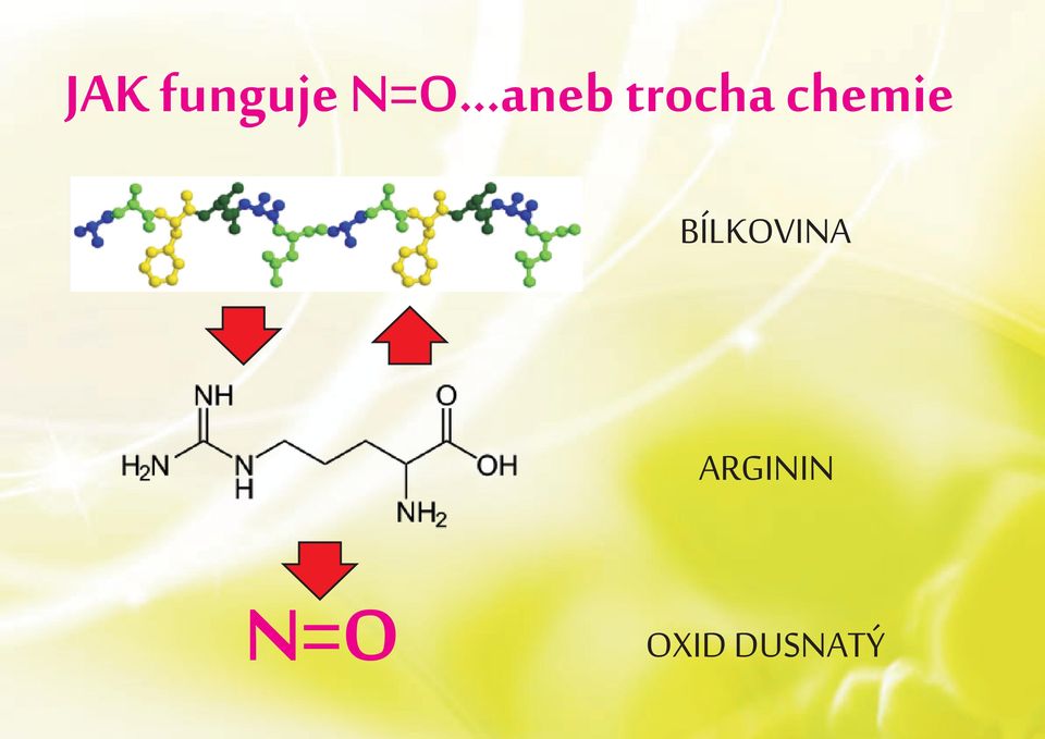 chemie BÍLKOVINA