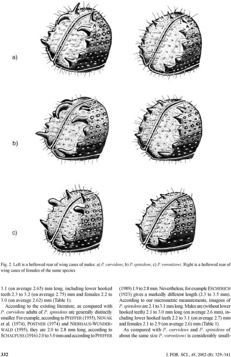 spinidens are generally distinctly smaller. For example, according to PFEFFER (955), NOVÁK et al. (974), POSTNER (974) and NIERHAUS-WUNDER- WALD (995), they are.0 to.