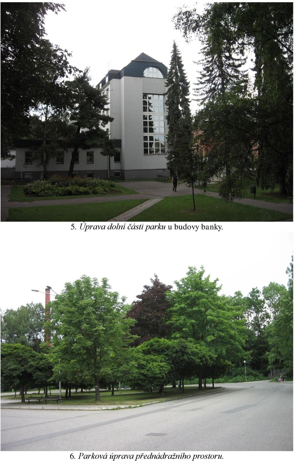 6. Parková úprava