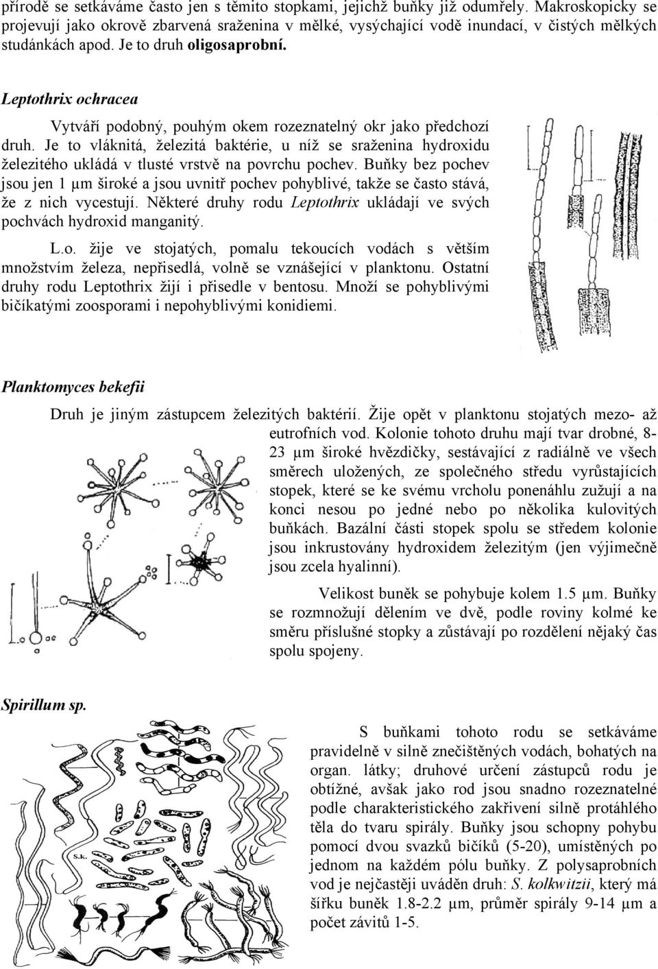 Leptothrix ochracea Vytváří podobný, pouhým okem rozeznatelný okr jako předchozí druh.