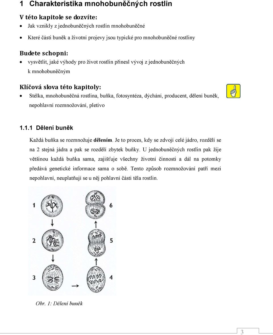producent, dělení buněk, nepohlavní rozmnožování, pletivo 1.1.1 Dělení buněk Každá buňka se rozmnožuje dělením.