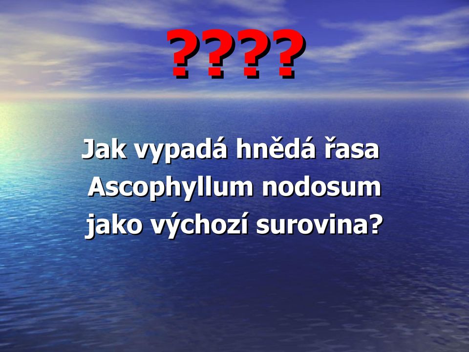 Ascophyllum