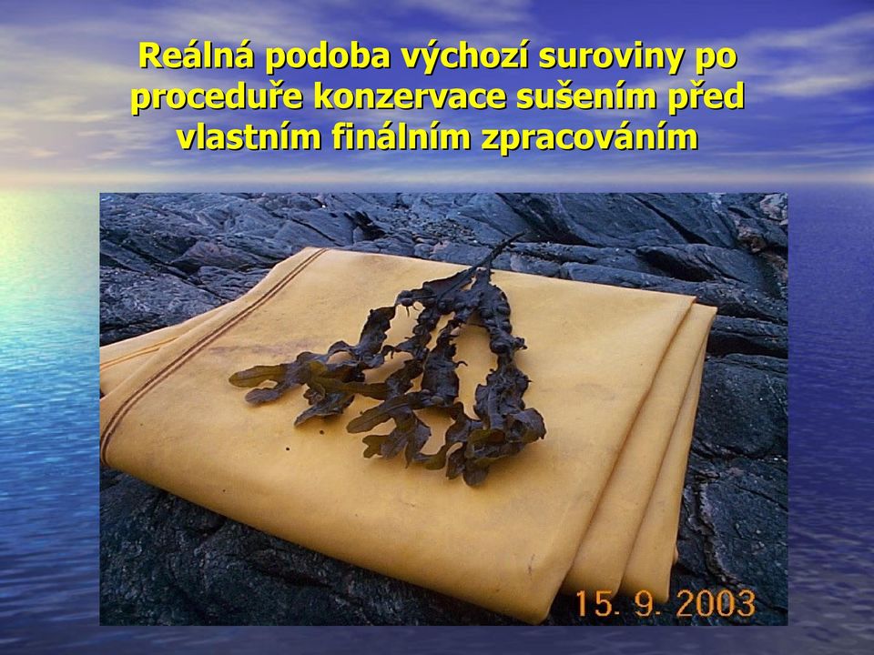 konzervace sušením před