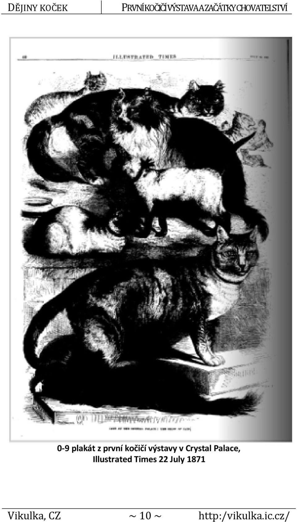 Illustrated Times 22 July 1871