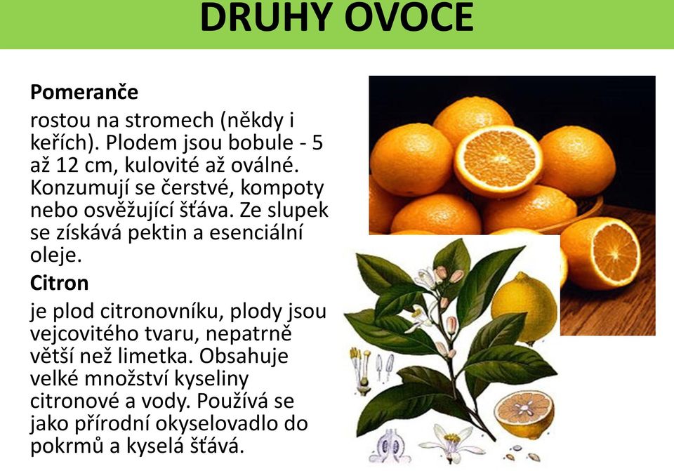 Citron je plod citronovníku, plody jsou vejcovitého tvaru, nepatrně větší než limetka.