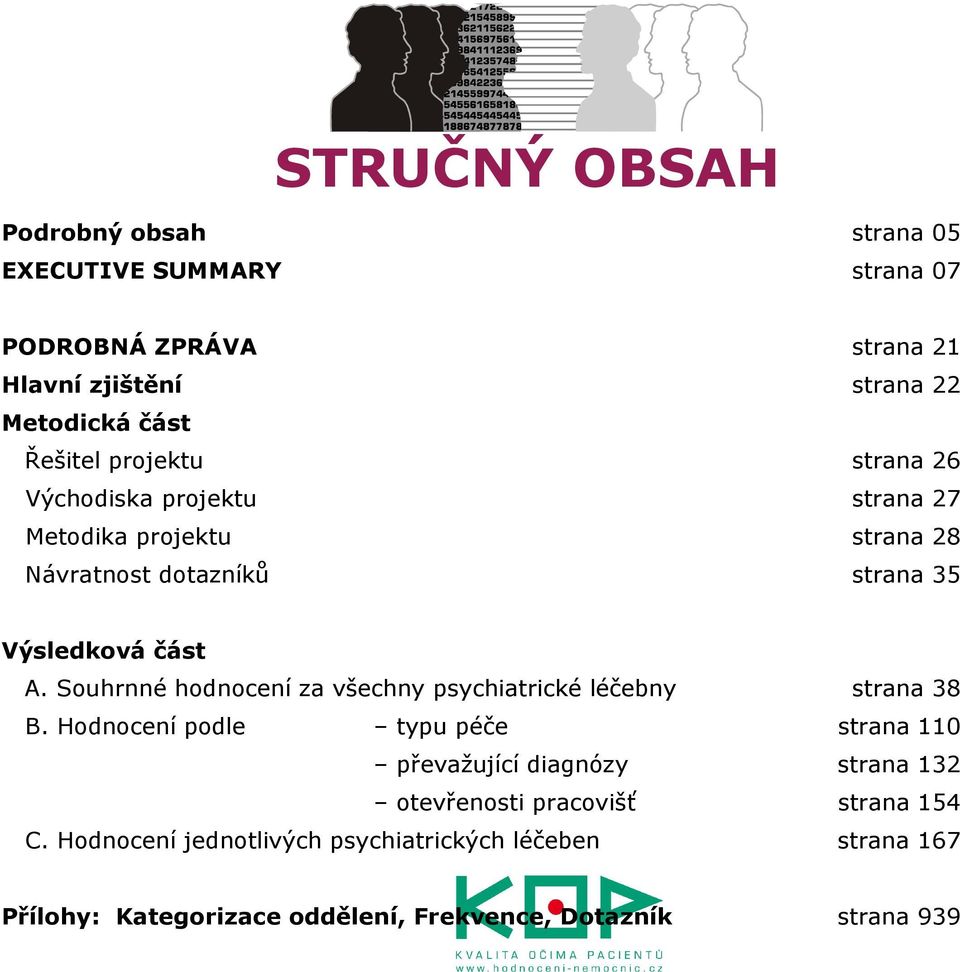 Souhrnné hodnocení za všechny psychiatrické léčebny strana 38 B.