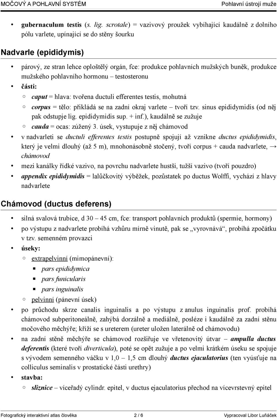 buněk, produkce mužského pohlavního hormonu testosteronu části: caput = hlava: tvořena ductuli efferentes testis, mohutná corpus = tělo: přikládá se na zadní okraj varlete tvoří tzv.