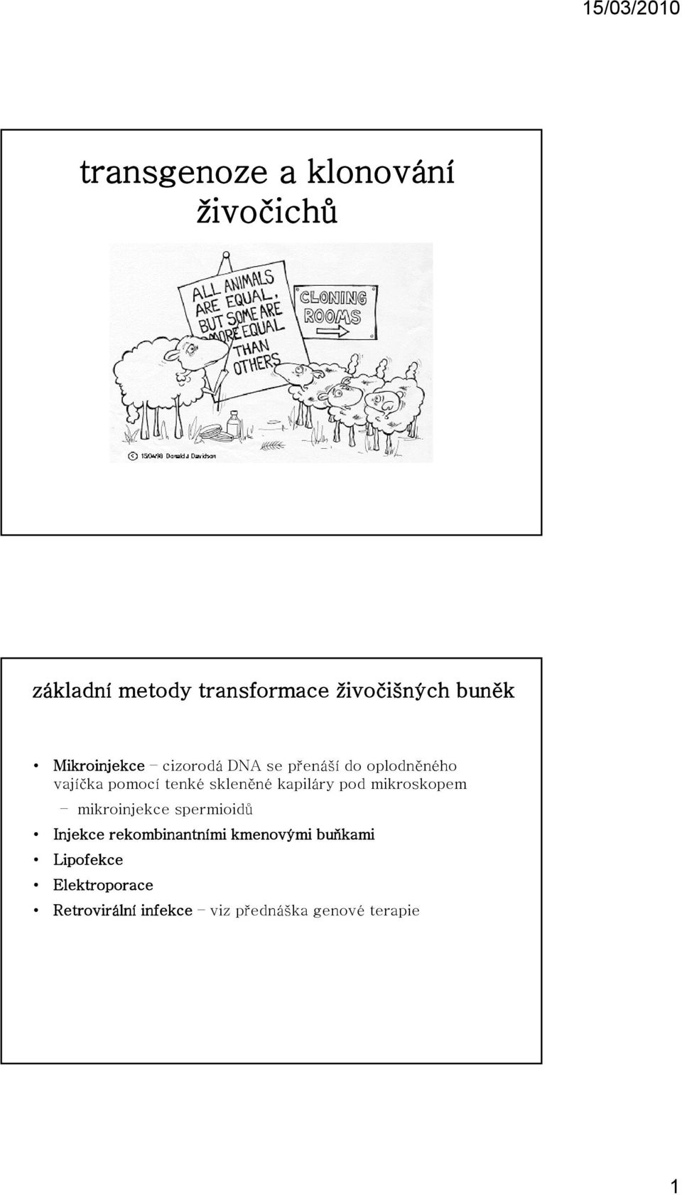 kapiláry pod mikroskopem mikroinjekce spermioidů Injekce rekombinantními kmenovými