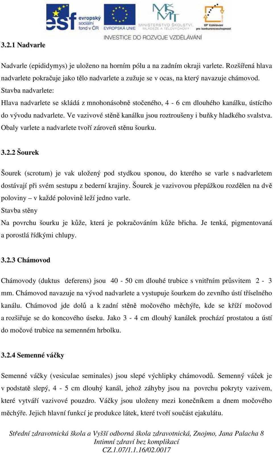 Obaly varlete a nadvarlete tvoří zároveň stěnu šourku. 3.2.2 Šourek Šourek (scrotum) je vak uložený pod stydkou sponou, do kterého se varle s nadvarletem dostávají při svém sestupu z bederní krajiny.