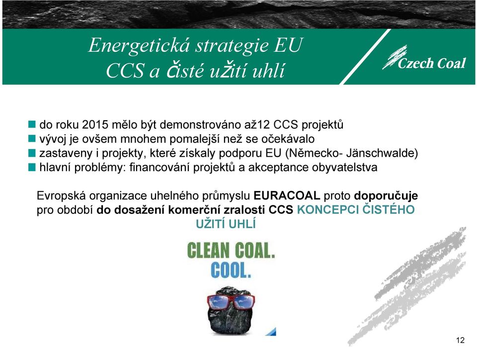 Jänschwalde) hlavní problémy: financování projektů a akceptance obyvatelstva Evropská organizace uhelného