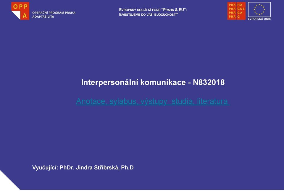 Interpersonální komunikace - N832018 Anotace,