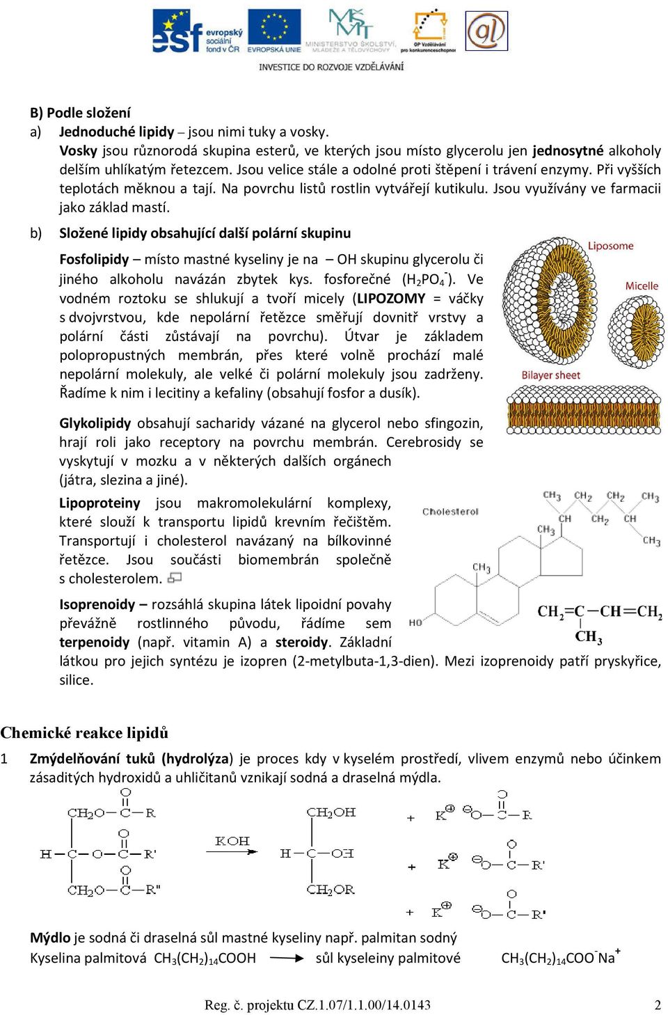 b) Složené lipidy obsahující další polární skupinu Fosfolipidy místo mastné kyseliny je na OH skupinu glycerolu či jiného alkoholu navázán zbytek kys. fosforečné (H 2 PO 4 - ).