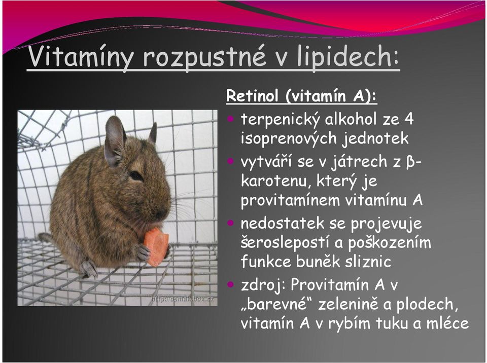 vitamínu A nedostatek se projevuje šeroslepostí a poškozením funkce buněk