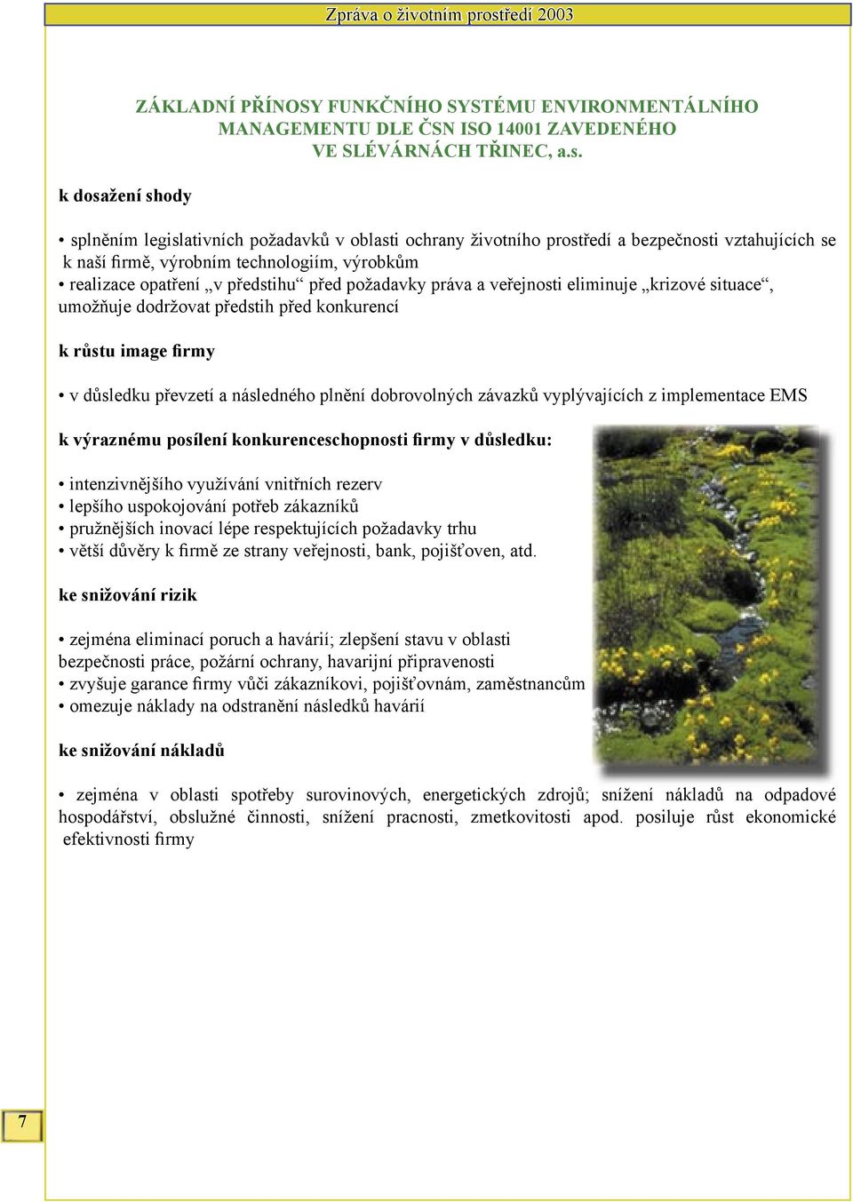 ody ZÁKLADNÍ PŘÍNOSY FUNKČNÍHO SYSTÉMU ENVIRONMENTÁLNÍHO MANAGEMENTU DLE ČSN ISO 14001 ZAVEDENÉHO VE SLÉVÁRNÁCH TŘINEC, a.s.