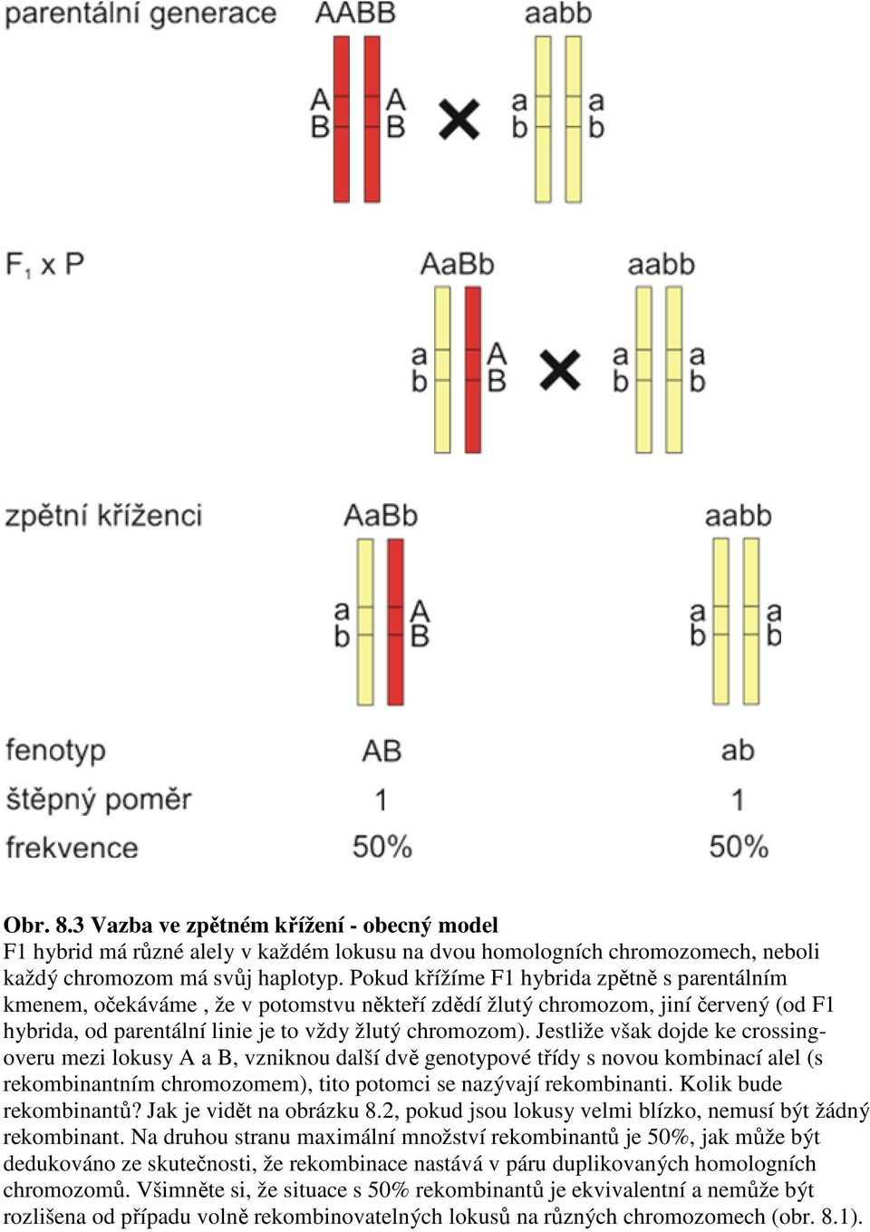 Jestliže však dojde ke crossingoveru mezi lokusy A a B, vzniknou další dvě genotypové třídy s novou kombinací alel (s rekombinantním chromozomem), tito potomci se nazývají rekombinanti.