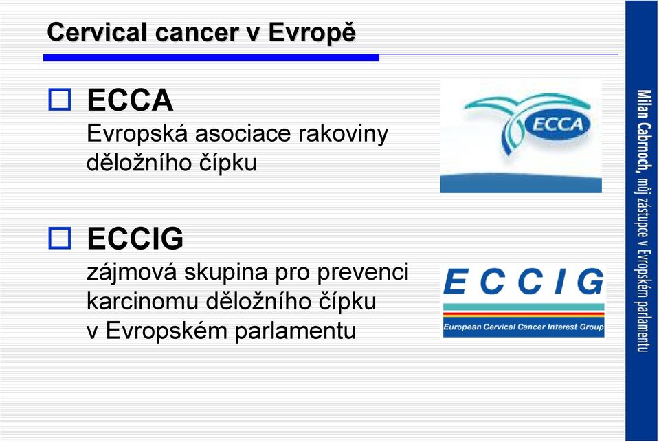 ECCIG zájmová skupina pro prevenci