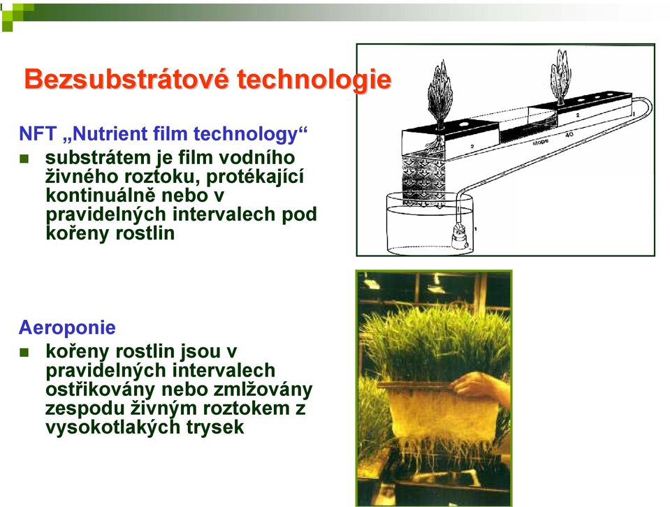 intervalech pod kořeny rostlin Aeroponie kořeny rostlin jsou v pravidelných