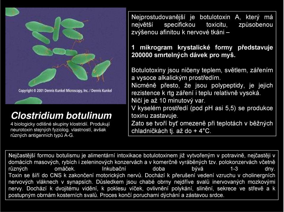Botulotoxiny jsou ničeny teplem, světlem, zářením a vysoce alkalickým prostředím. Nicméně přesto, že jsou polypeptidy, je jejich rezistence k rtg záření i teplu relativně vysoká.