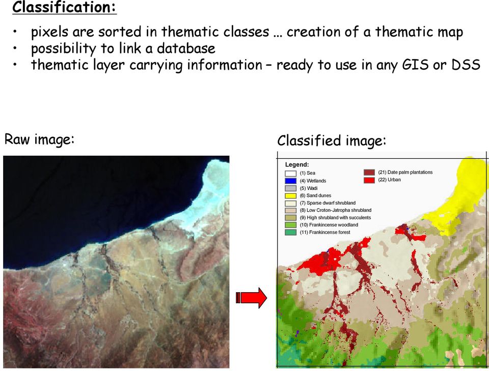 in any GIS or DSS Raw image: Classified image: Legend: (1) Sea (4) Wetlands (5) Wadi (6) Sand dunes (7) Sparse