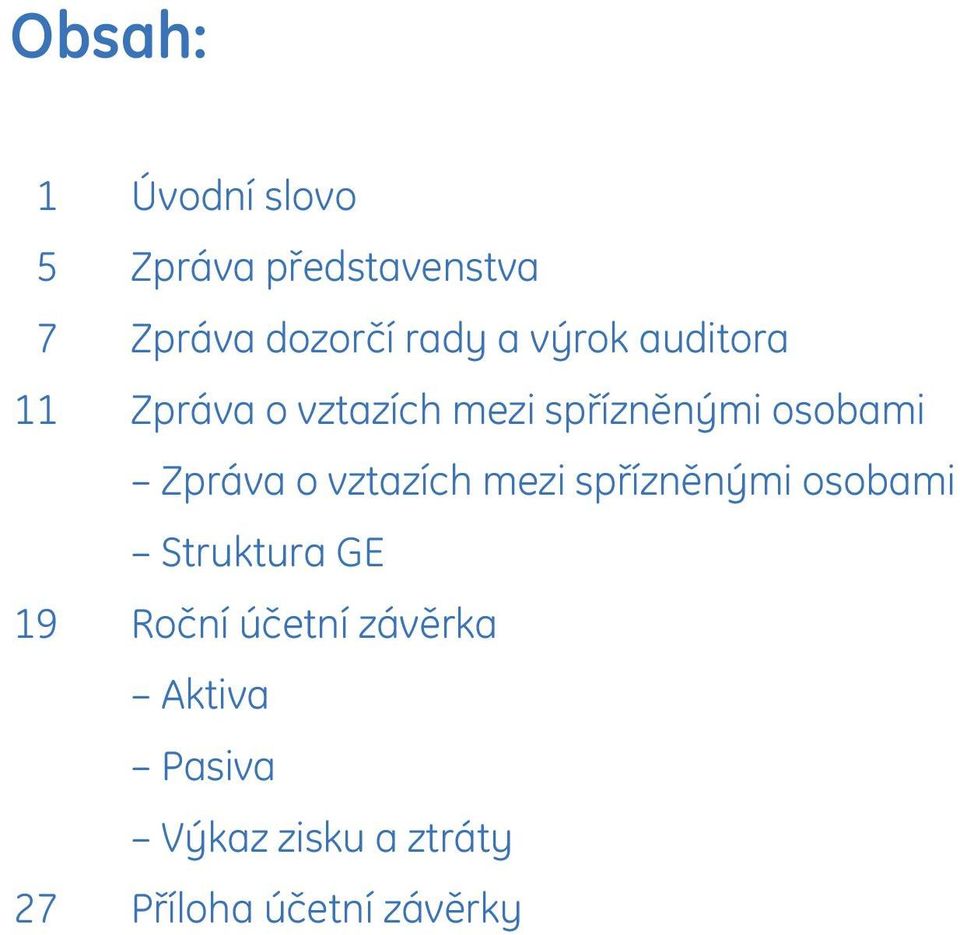 Zpráva o vztazích mezi spřízněnými osobami Struktura GE 19 Roční