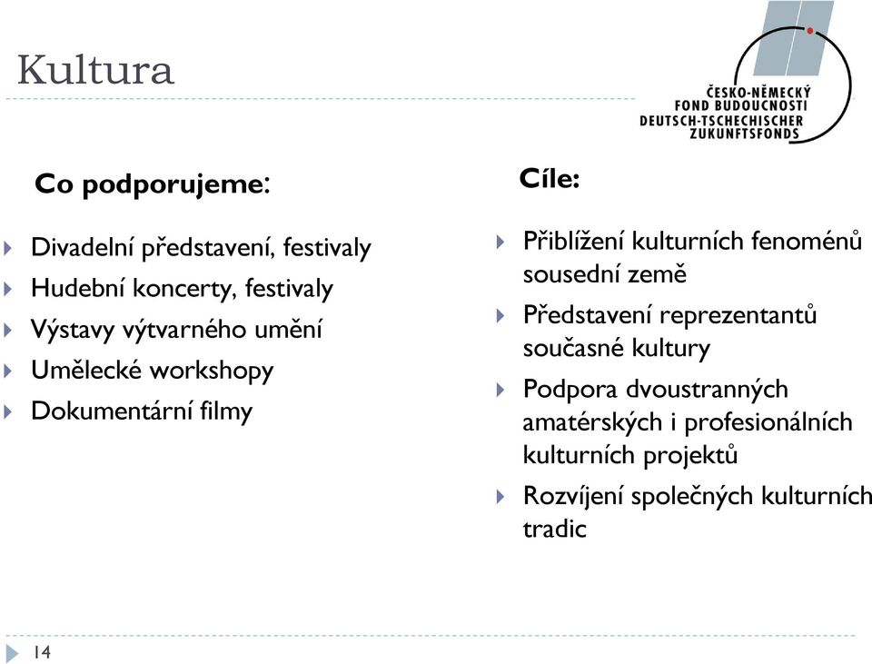 kulturních fenoménů sousední země Představení reprezentantů současné kultury Podpora