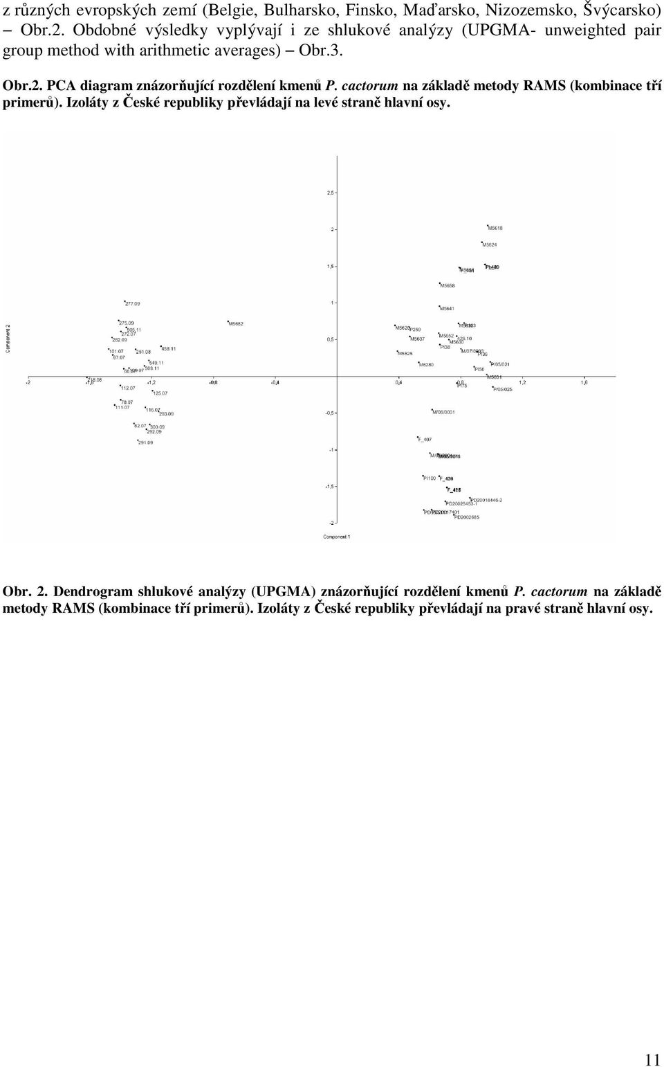 PCA diagram znázorňující rozdělení kmenů P. cactorum na základě metody RAMS (kombinace tří primerů).