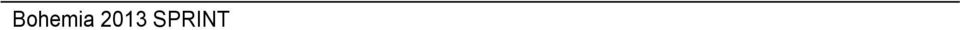 13 K 1 1356 Strib Hans