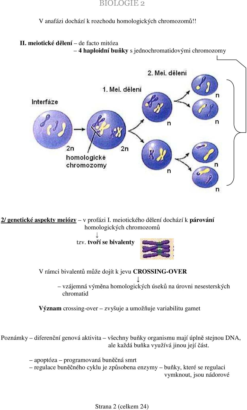 meiotického dělení dochází k párování homologických chromozomů tzv.