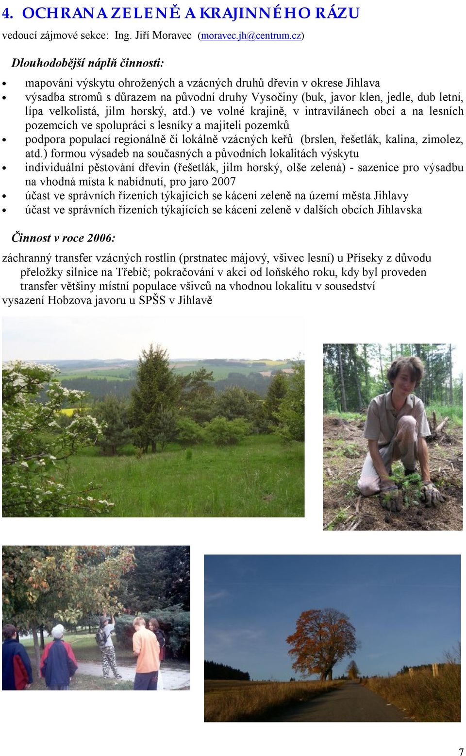 velkolistá, jilm horský, atd.