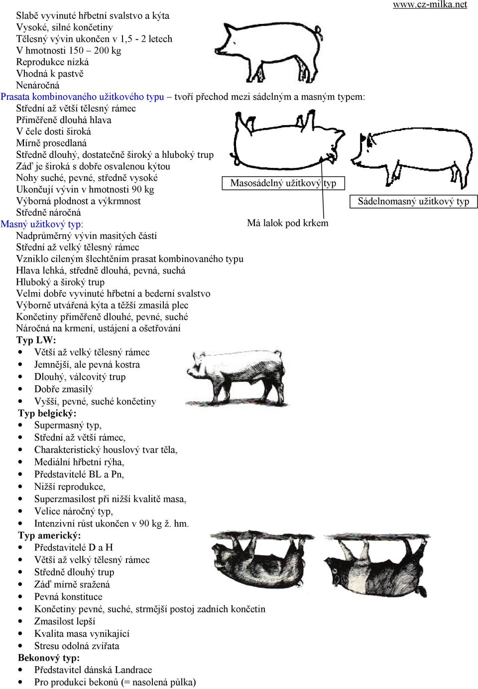 široká s dobře osvalenou kýtou Nohy suché, pevné, středně vysoké Masosádelný užitkový typ Ukončují vývin v hmotnosti 90 kg Výborná plodnost a výkrmnost Sádelnomasný užitkový typ Středně náročná Masný