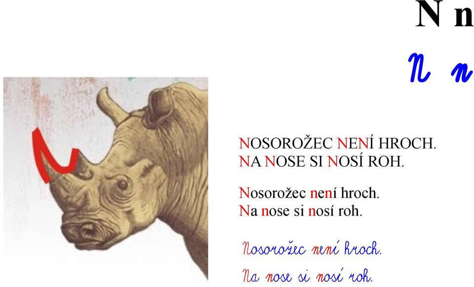 Nosorožec není hroch.