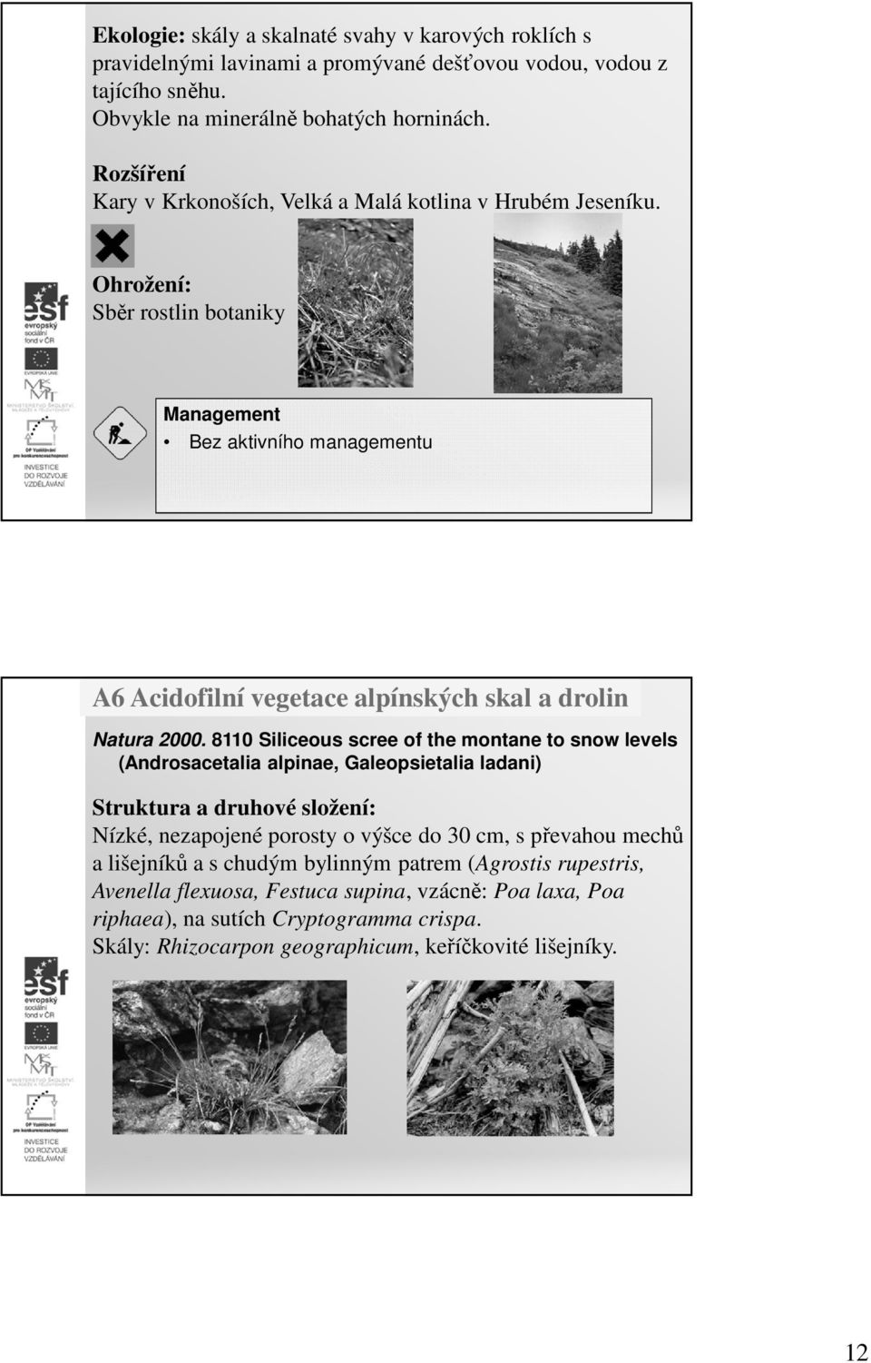 Ohrožení: Sběr rostlin botaniky Management Bez aktivního managementu A6 Acidofilní vegetace alpínských skal a drolin Natura 2000.