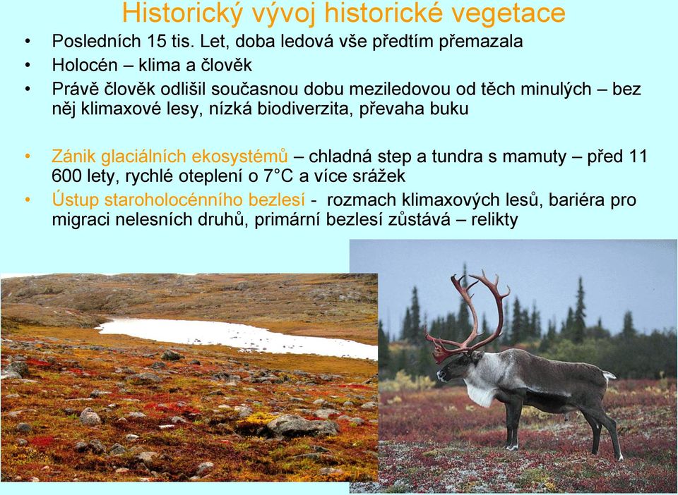minulých bez něj klimaxové lesy, nízká biodiverzita, převaha buku Zánik glaciálních ekosystémů chladná step a tundra s