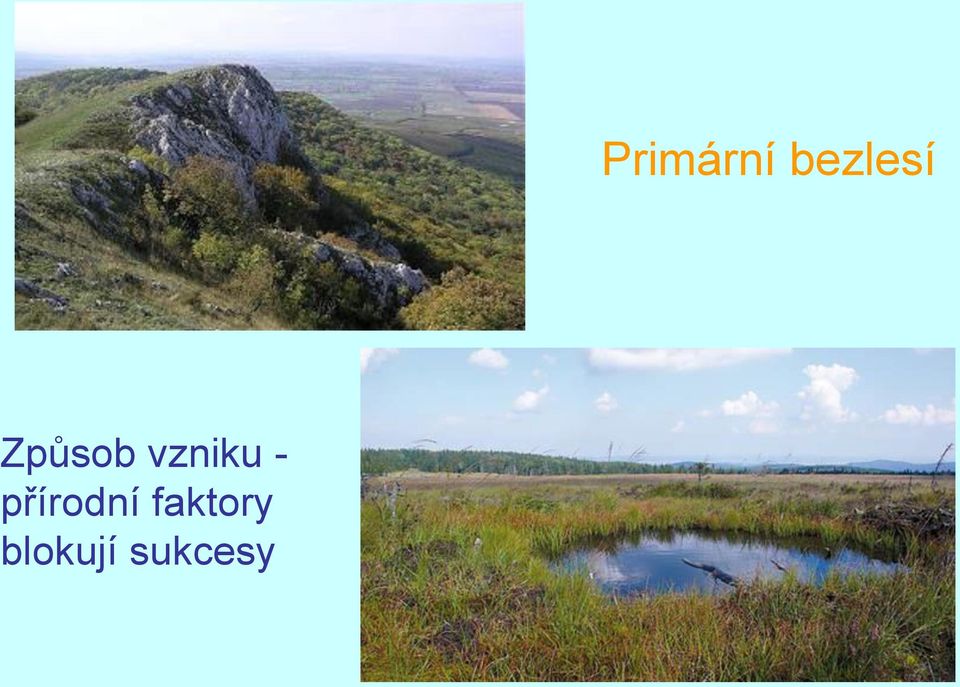 blokují sukcesy