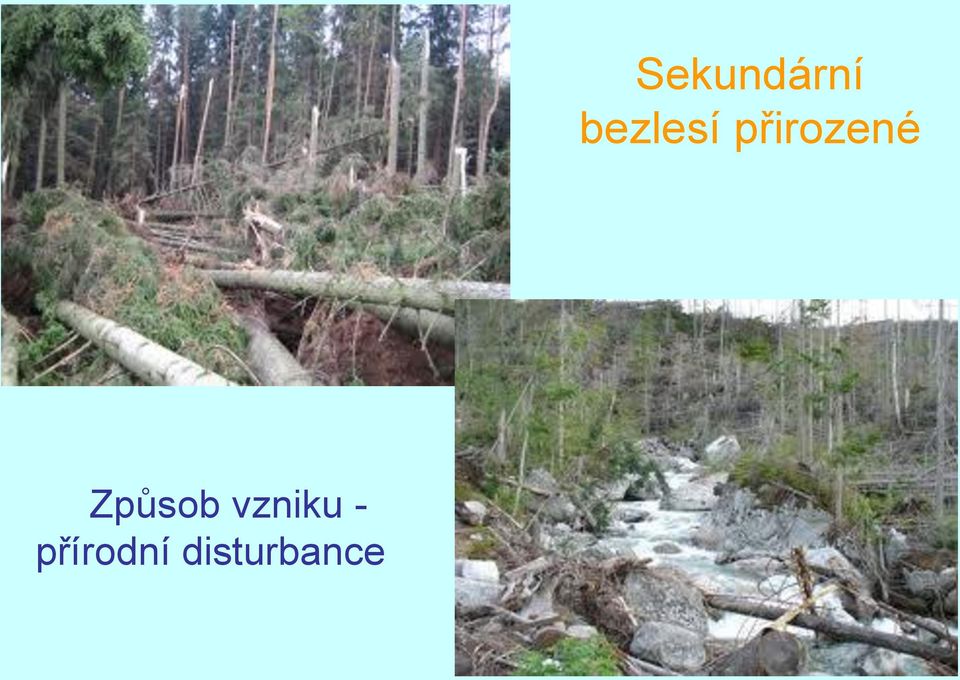 disturbance