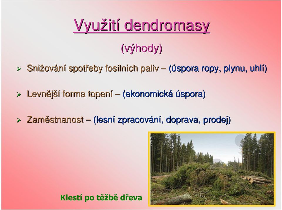 forma topení (ekonomická úspora) Zaměstnanost (lesní