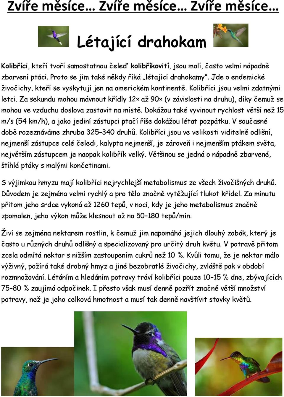 Za sekundu mohou mávnout křídly 12 až 90 (v závislosti na druhu), díky čemuž se mohou ve vzduchu doslova zastavit na místě.