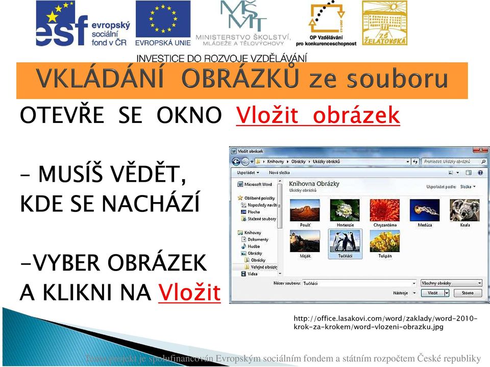 Vložit http://office.lasakovi.