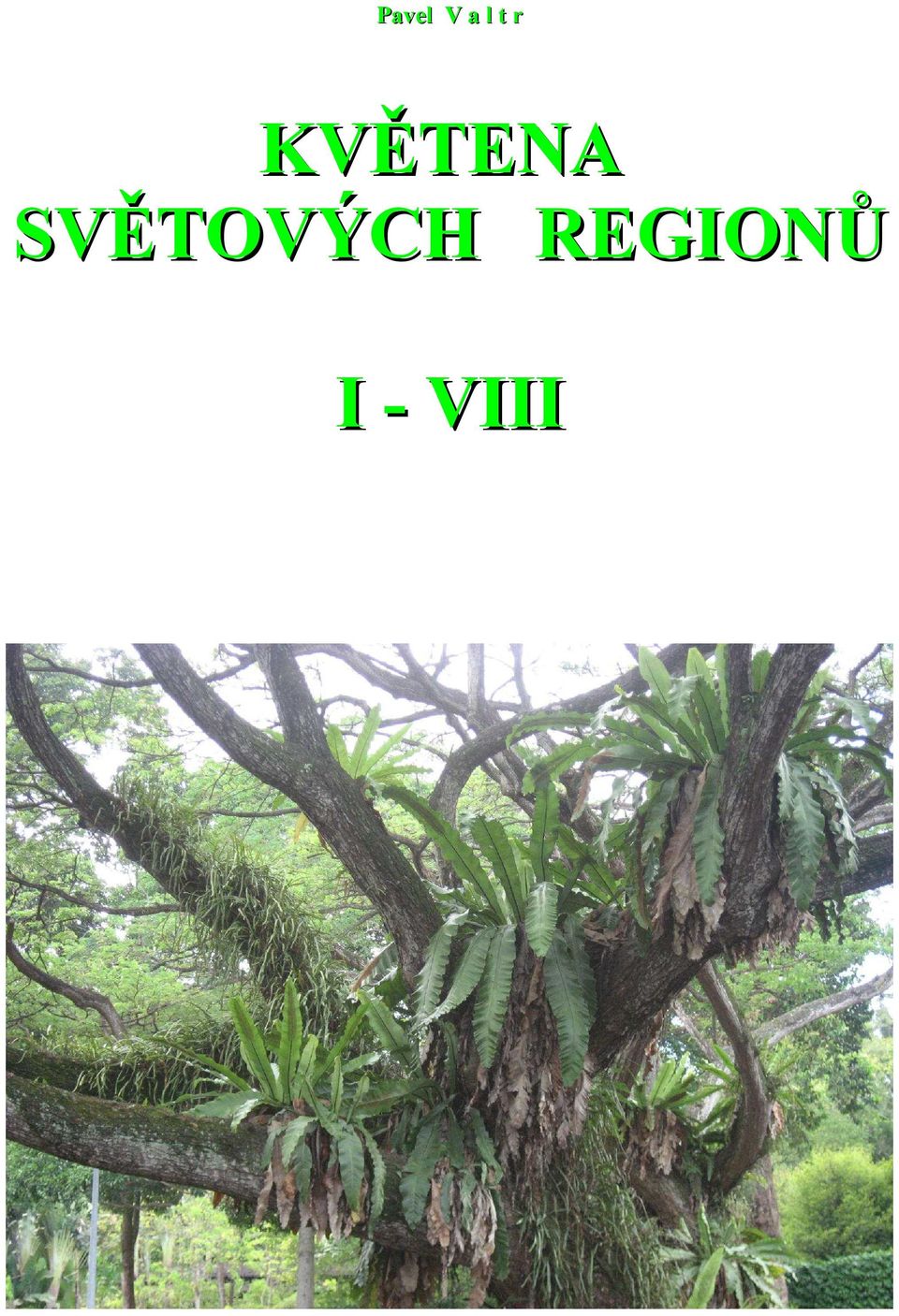 SVĚTOVÝCH