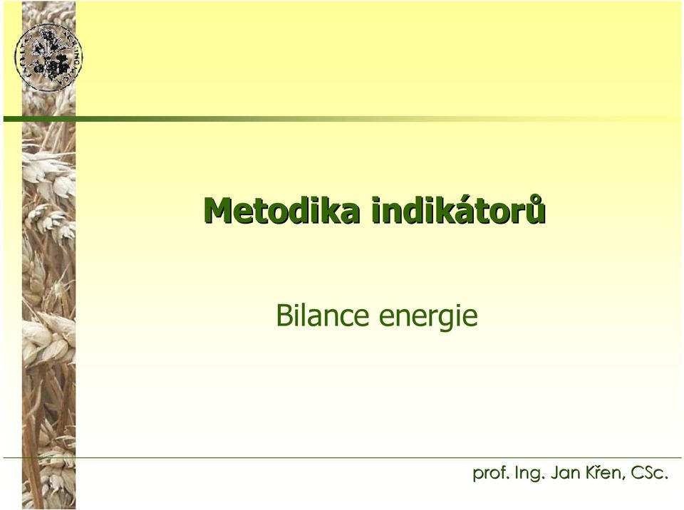 Bilance energie