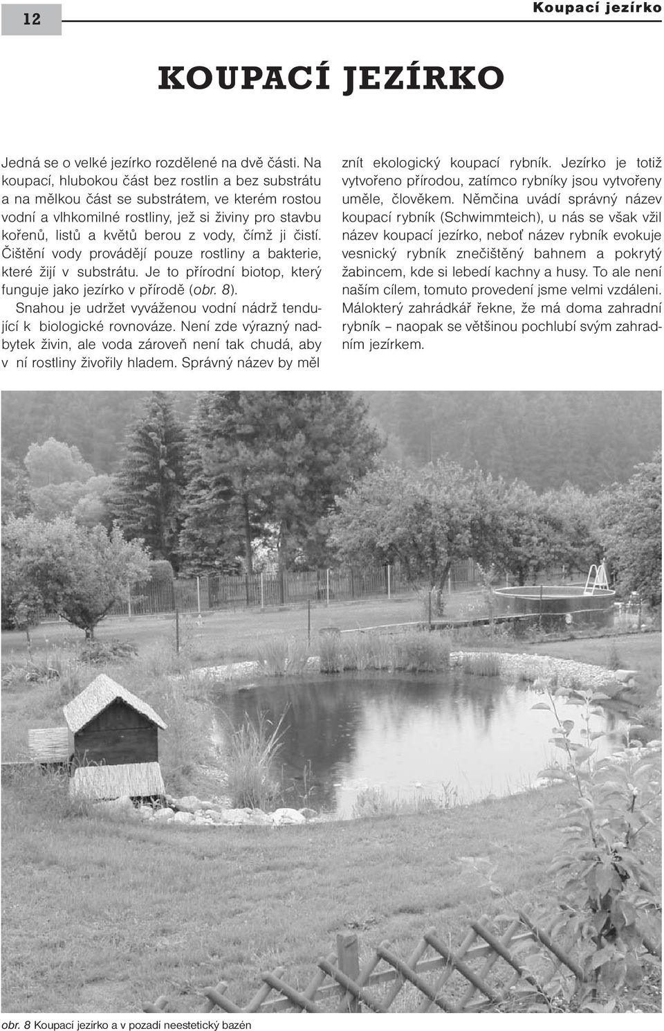 ji čistí. Čištění vody provádějí pouze rostliny a bakterie, které žijí v substrátu. Je to přírodní biotop, který funguje jako jezírko v přírodě (obr. 8).