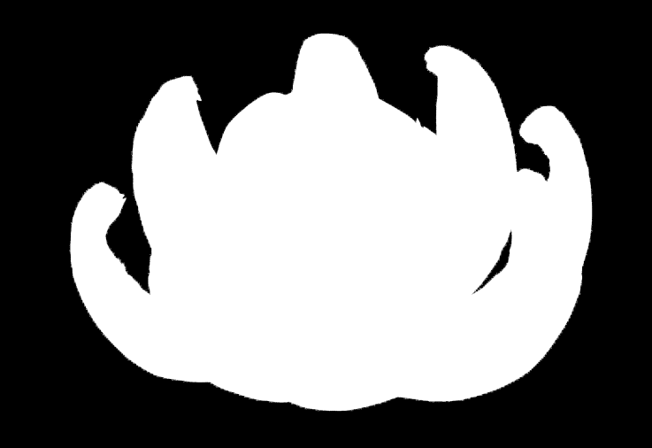 chorobami (padlí).