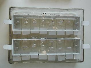 Vizualizace chromogenu Po oplachu na preparát ABC-komplex (45 min při 37 C) (4 ml PBS + 10 ml A + 10 ml B). Oplach v PBS.