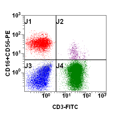 Základní populace lymfocytů CD8-FITC/CD4-PE/CD45-PC5/CD3-PC7 T lymfocyty - cytotoxické: CD3 + CD8 + - pomocné: CD3 + CD4 + CD45 + lymfocyty CD45 + lymfocyty B lymfocyty -