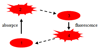 3.5 FLUORESCENCE Luminiscence je emise elektromagnetického záření pevných nebo kapalných látek po excitaci.