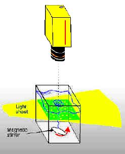 polyamid Vířič 1,5 Hz Mapa vektorů rychlosti