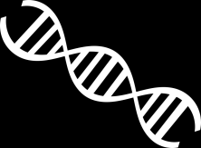 vizualizace DNA a hodnocení výsledku Úkol: Určení pohlaví ptačího jedince z biologického materiálu (svalová tkáň) pomocí restrikční analýzy PCR produktu specifického genu.